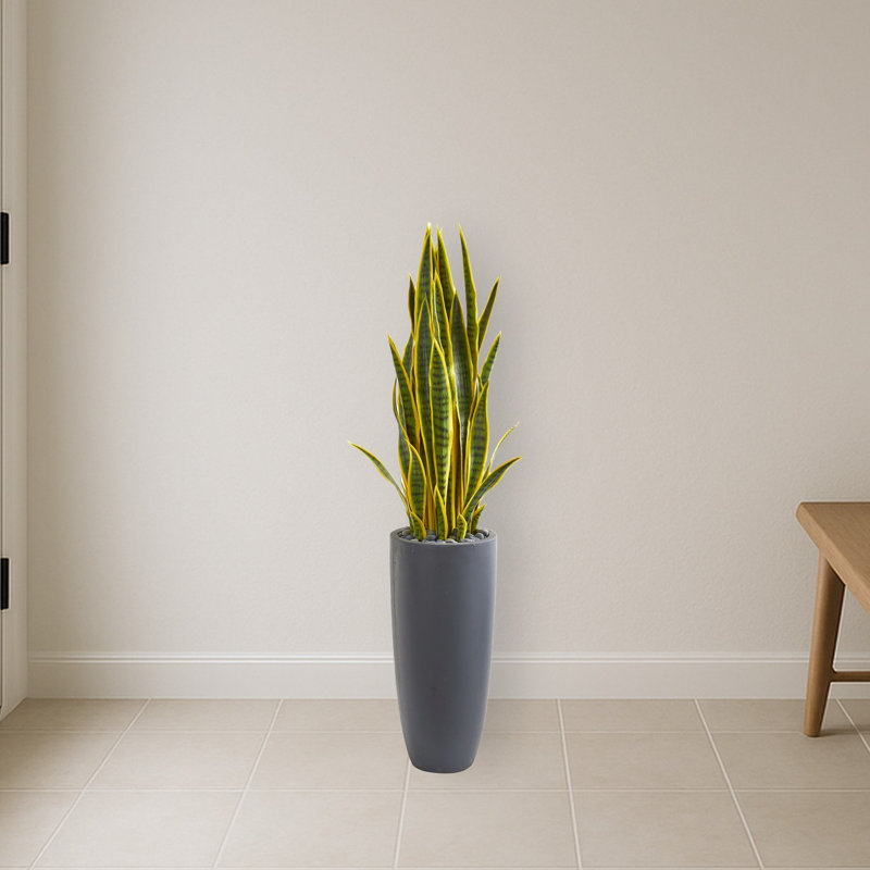 Sansevieria Artificial Plant in Gray Planter
