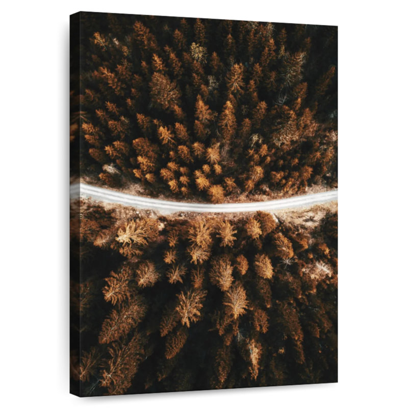 Forêt d'automne Alvord, H 45 po x l 30 po