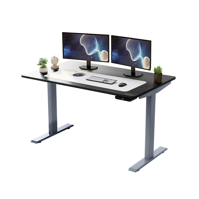 Uncaged Ergonomics Rise Up 48" x 30" Dual-Motor Electric Standing Desk - Height Adjustable Sit-Stand Desk with Memory Presets, Black Bamboo Top, Gray Frame