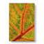 Map Of A Leaf - Wrapped Canvas-56667725
