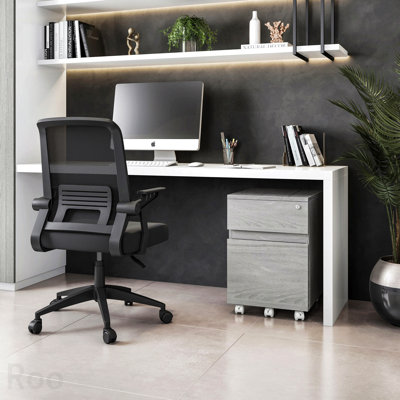Classeur vertical gris à deux tiroirs avec serrure sécurisée et rangement pour bureau personnel