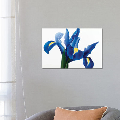 Purple Floral II by Yvonne Poelstra-Holzhaus - Wrapped Canvas Painting