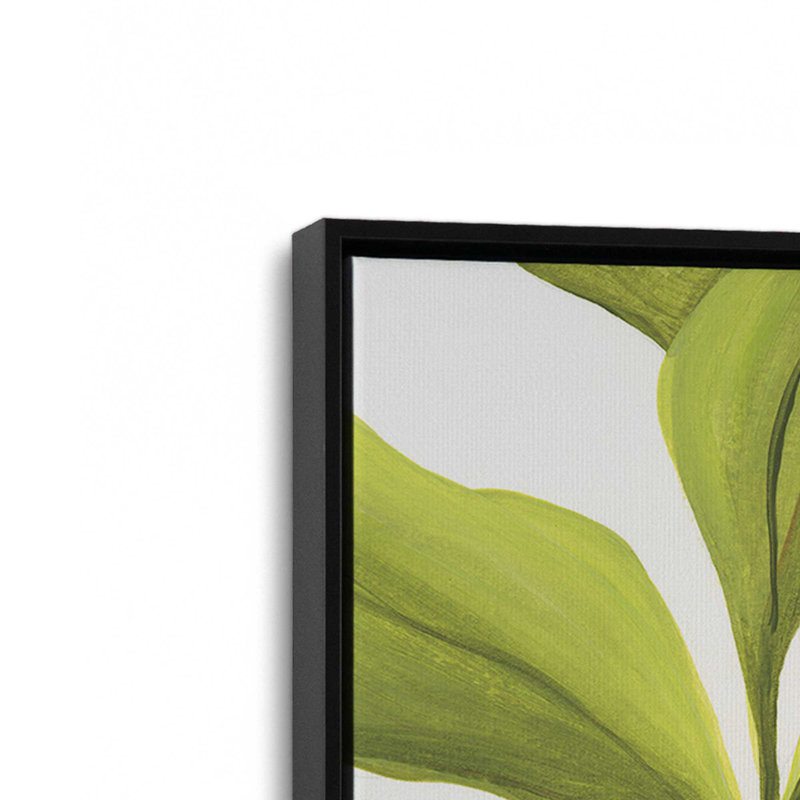 «Pots Plants» par Yvette St. Amant, reproduction d'art, H 40 po x l 30 po, Noir, Cadre flottant