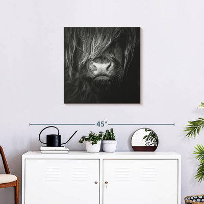 Brampt Highland Cow Face