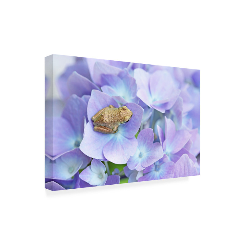 «Little Frog on Flower» par Jennie Marie Schell - impression sur toile tendue, H 22 po x l 32 po x P 2 po