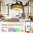Zahnya 42'' Ceiling Fan with LED Lights-684725926