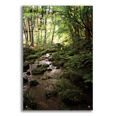 Lush Creek in Forest par Debra Van Swearingen - photographie non encadrée