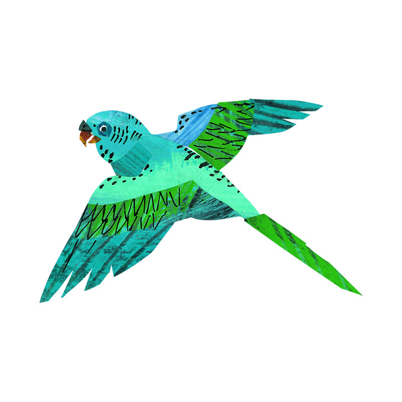 Abc Bird by Eric Carle - Painting on Canvas, 30cm H x 46cm W