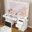 Annsley 11-Drawer Dressing Table with Mirror，Makeup Vanity Desk with LED Lighted Mirror