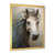 Gold Single Picture Framed
