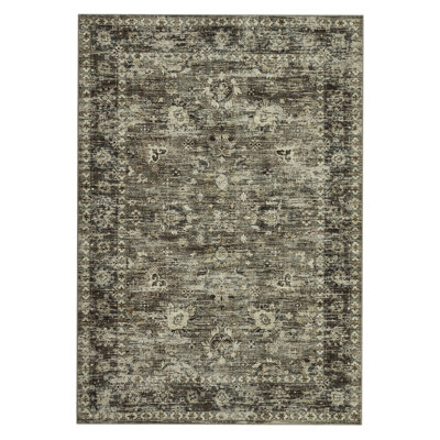 Area Rug Machine Washable Rug for Living Room Vintage Distressed Accent Rug Non Slip Stain Resistant Kitchen Rug Traditional Carpet for Home Office