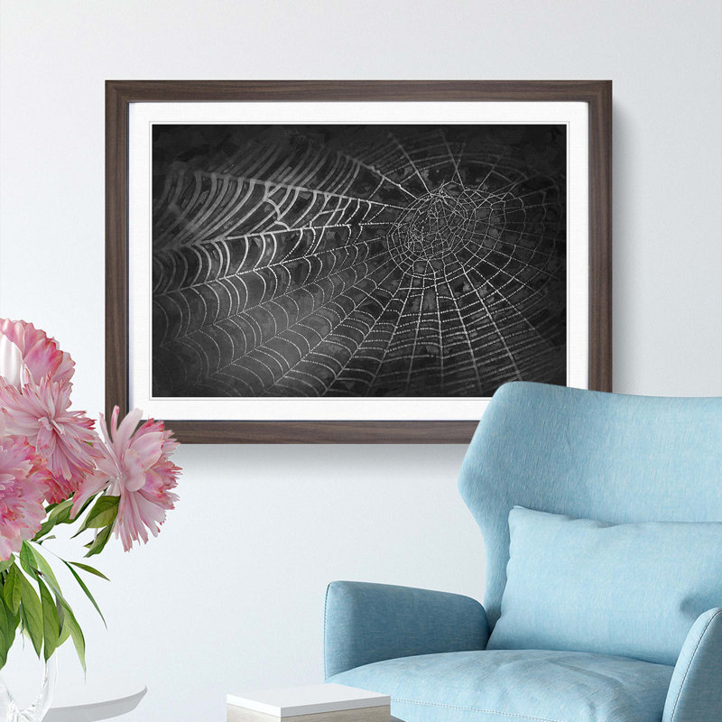 Spiders Cobweb in Abstract - Framed Print, 36cm H x 48cm W x 2cm D, Walnut Framed