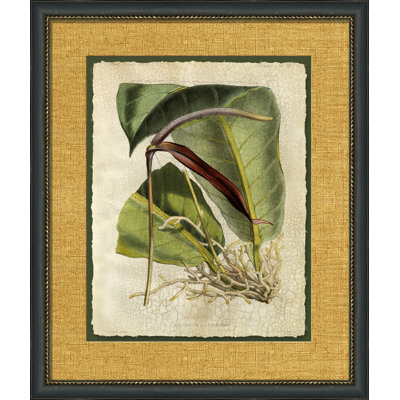Crackled Tropical Foliage II Painting