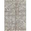 Floral Area Rug in Gray