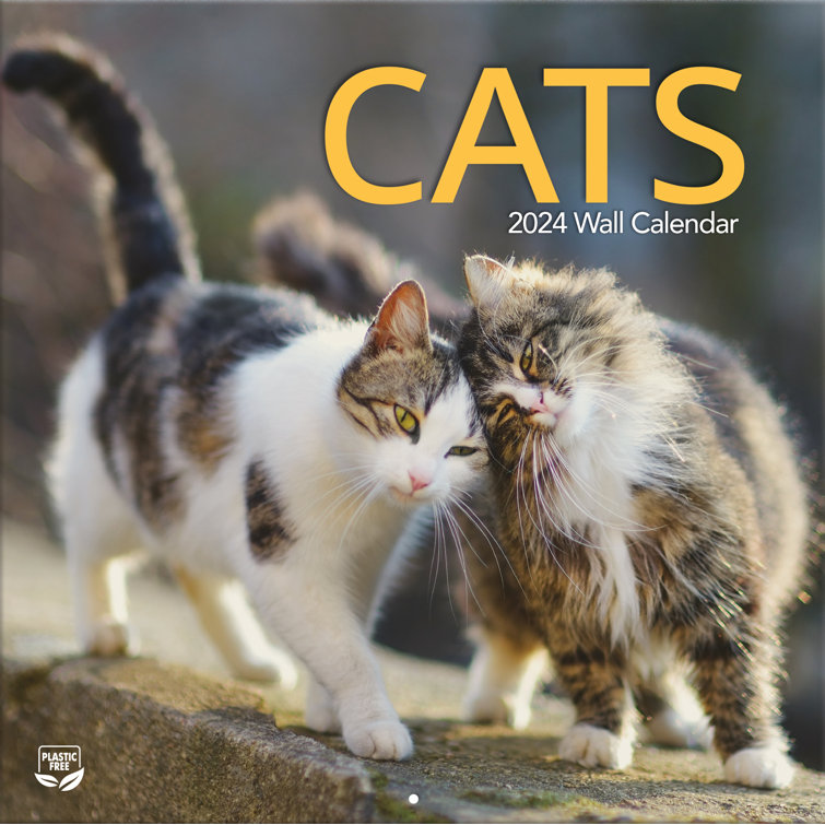 Lang Cats Photo Wall Calendar | Wayfair
