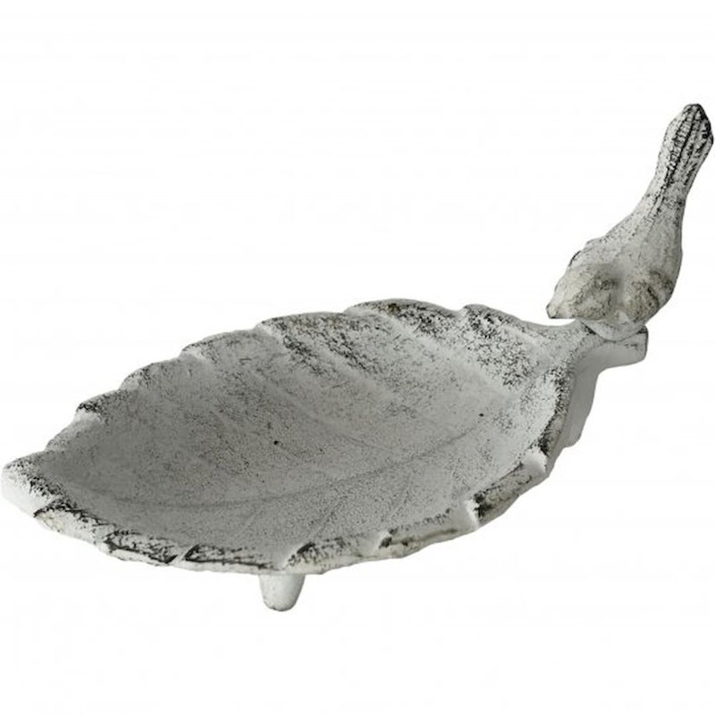 Bain d'oiseaux à feuilles