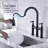 Naiyafly Pull Down Kitchen Faucet-71233763