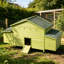 Grand poulailler en bois 70 ＂-47920195