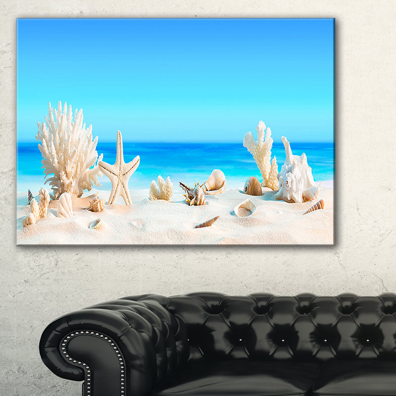« coquillages on tropical beach », reproduction d’art Seashore, H 20 po x l 40 po x P 1po, Toile tendue