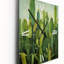 Horloge murale Cactus-587912923