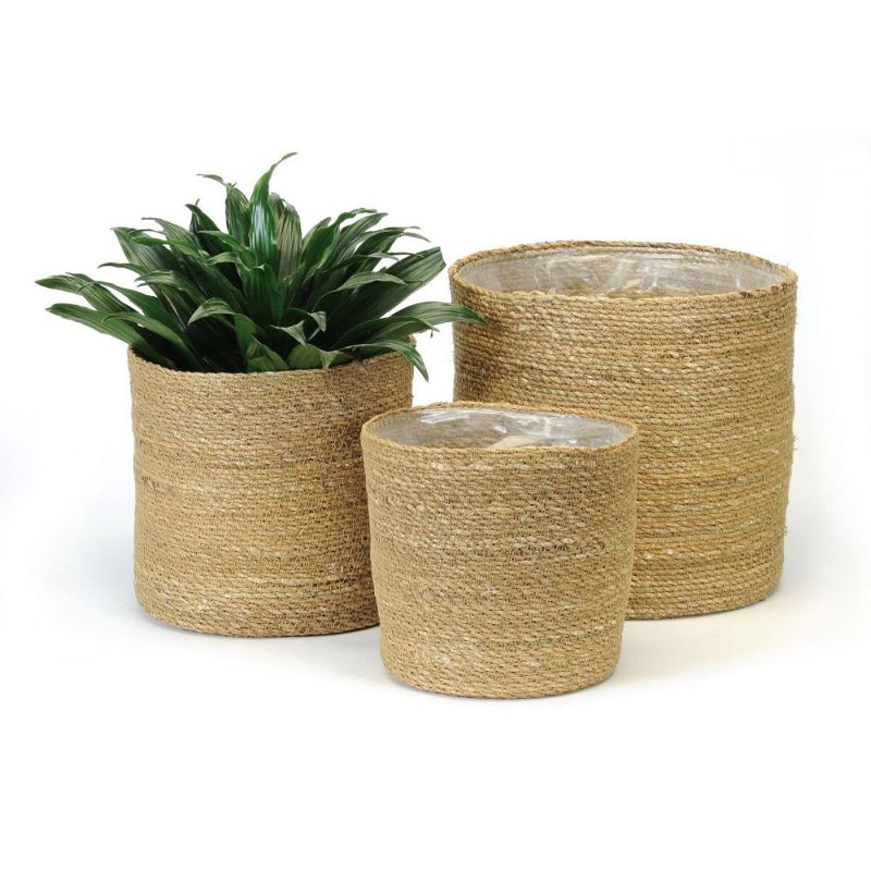 Ensemble de pots à fleurs 3 pièces Carmella