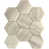 Blanc / Brun