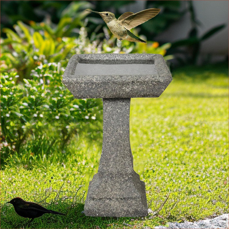 Bains d'oiseaux | Bain d'oiseaux en béton 22,8 po H 22,8 po | Ciment béton | Piédestal à un niveau Birdbath