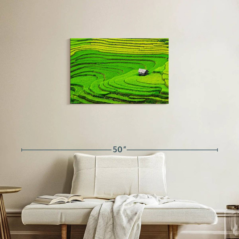 Champ de riz Alvord Ha Giang, H 20 po x l 30 po