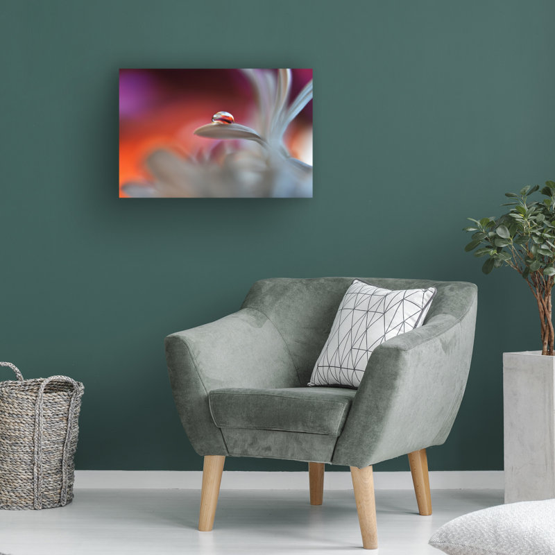 Art sur toile «bolche Heidi Westum Happy Colors», H 12 po x l 19 po