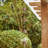 Briane Rain Chain