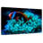 Brampt Tomato Clownfish-107843907