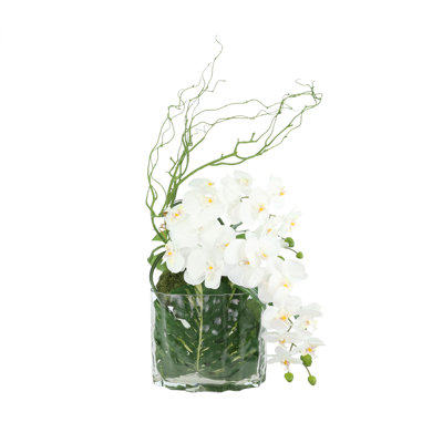 Orchid Arrangement with Philodendron in Vase