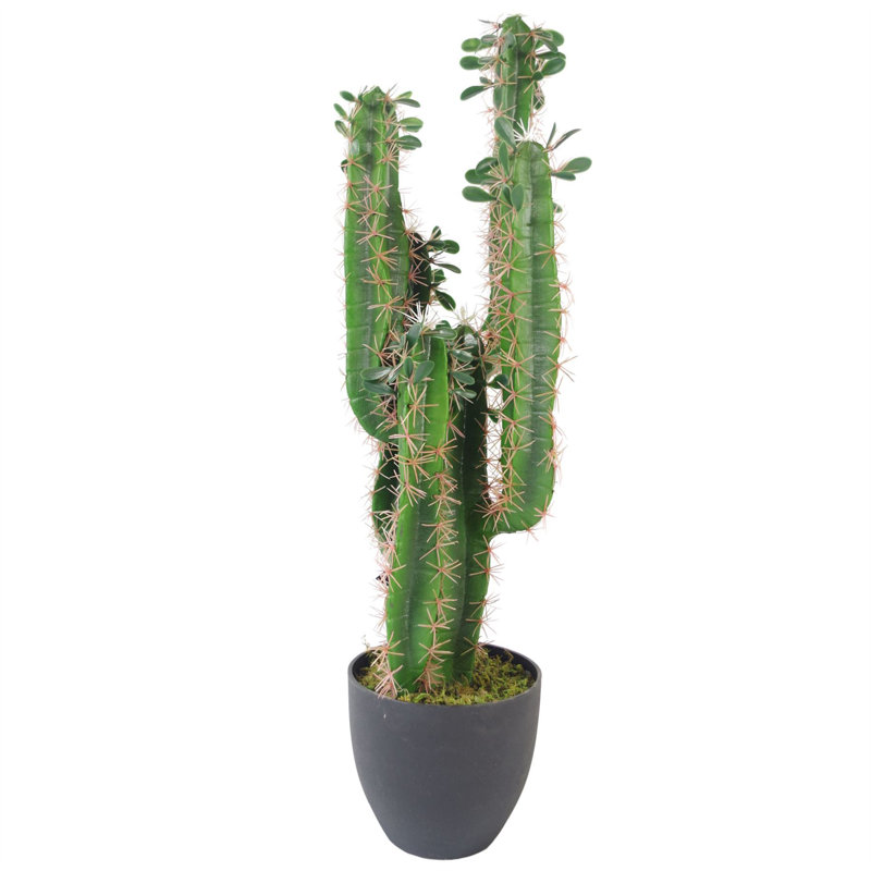 75cm Faux Cactus Plant in Pot Liner