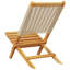 Folding Chair-845574655