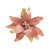 Rose est en rupture de stock