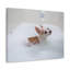 «Cute Chihuahua Bathee», art mural sur toile-102525581