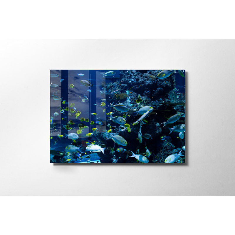 Verre 2, H 27,6 po x l 39,4 po x P 1 po