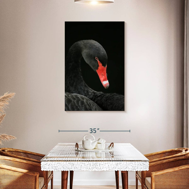 Brampt Black Swan Head, 45" H x 30" W