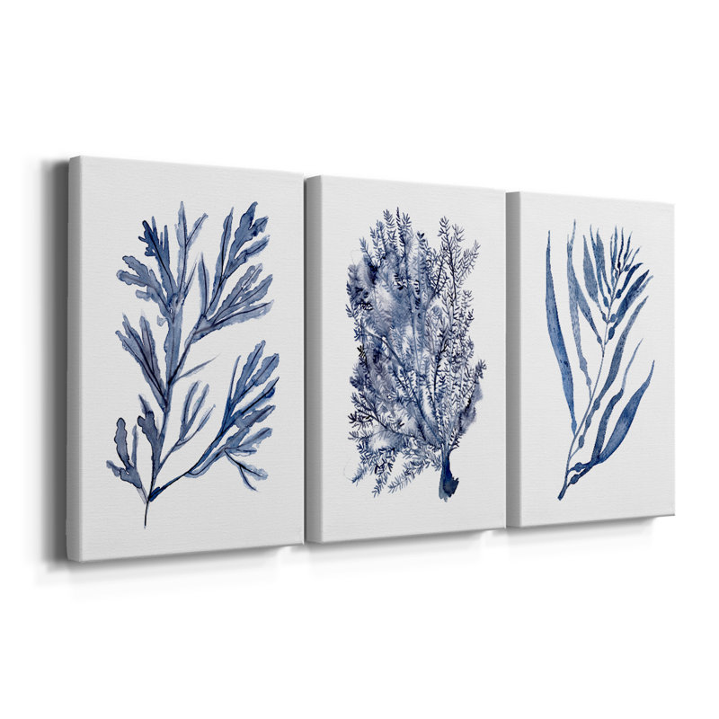 Seaweed Under Water I - Toile tendue sur mesure avec châssis - 3 pièces, H 18 po x l 36 po