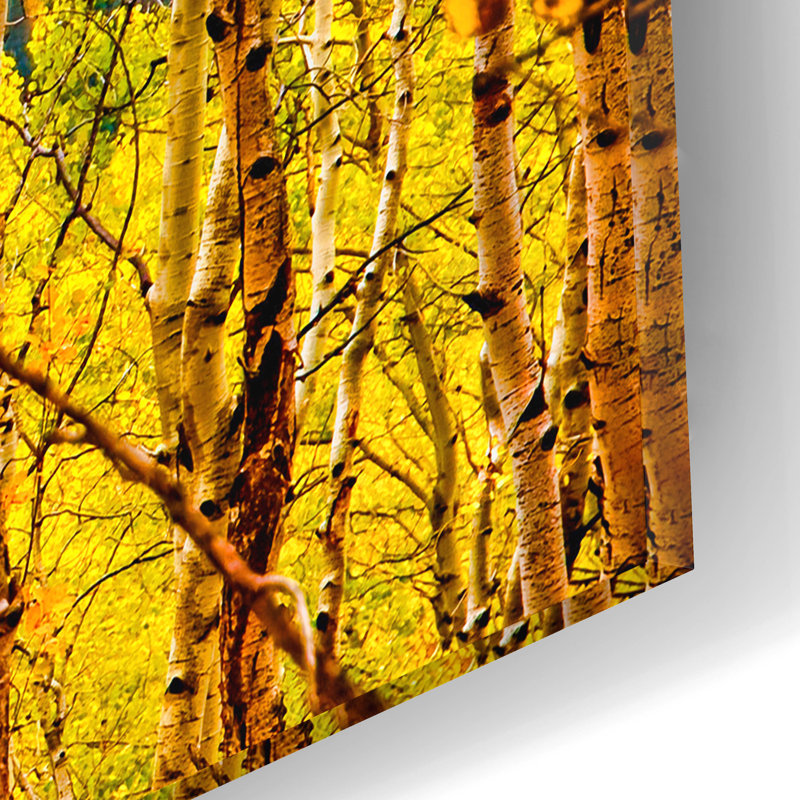 «Aspen Autumn» par Mark A Paulda, H 12 po x l 16 po x P 0,13 po
