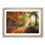 Autumn Forest - Picture Frame Painting Print-56633540-56633545