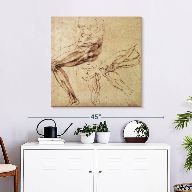 Trois études d'une patte, 30" H x 30" W
