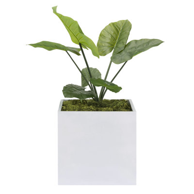 Lorsworth Planter Box