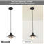 Luminaire suspendu en métal noir rétro Farmhouse