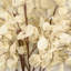 Branche d'eucalyptus artificiel 36 po pour remplisseur de vase
