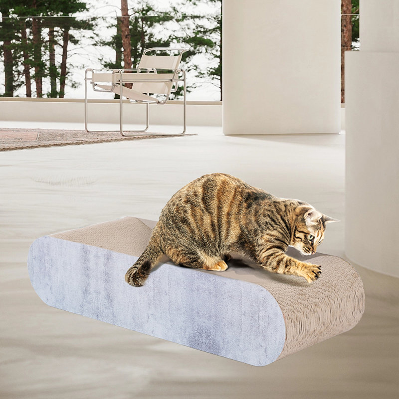 Cofi Scratching Post