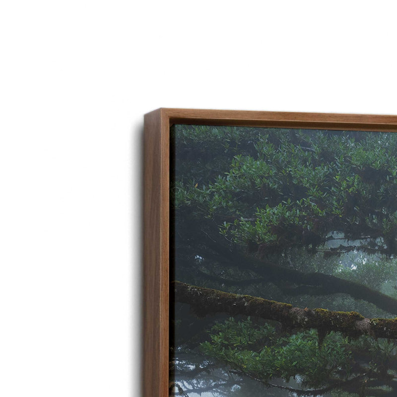 «Embracé par Martin Podt», reproduction d'art, Toile avec cadre, L 30 po x H 20 po, Brun