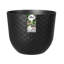 Plant Pot-72816988-72816990