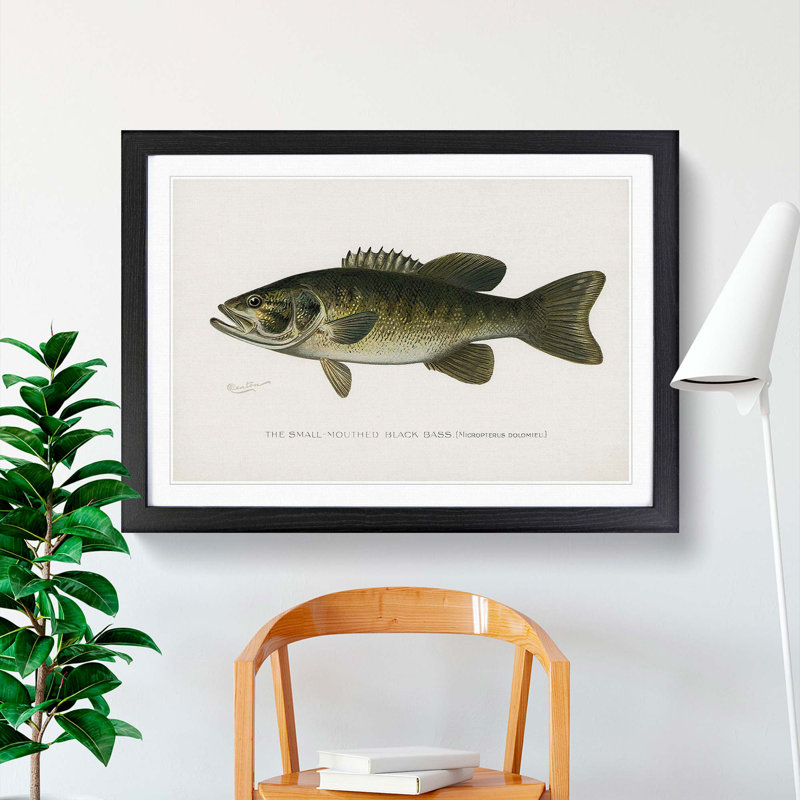 Small-Mouthed Black Bass by Sherman F. Denton - Picture Frame Painting Print, Black Framed, 48cm H x 65cm W x 2cm D