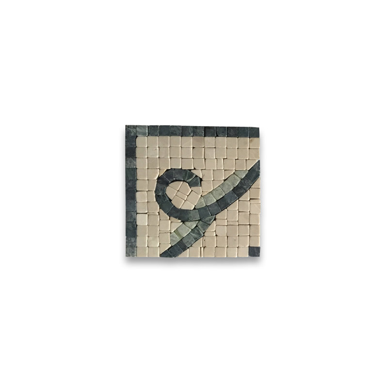 Carreau de mosaïque en marbre baroque pour mur et plancher 4,7 po x 4,7 po